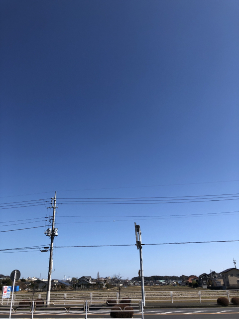 BE689317-B459-4D09-9480-264196330FD6.jpg