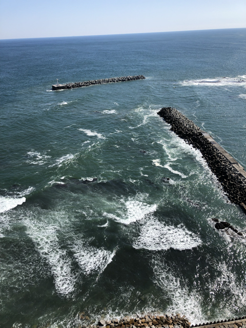 D1F44ACE-A746-482A-8641-2176B4269A07.jpg