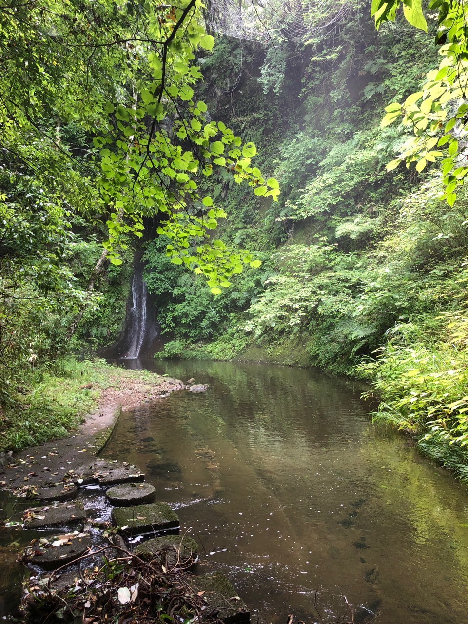 20190713 (18).jpg