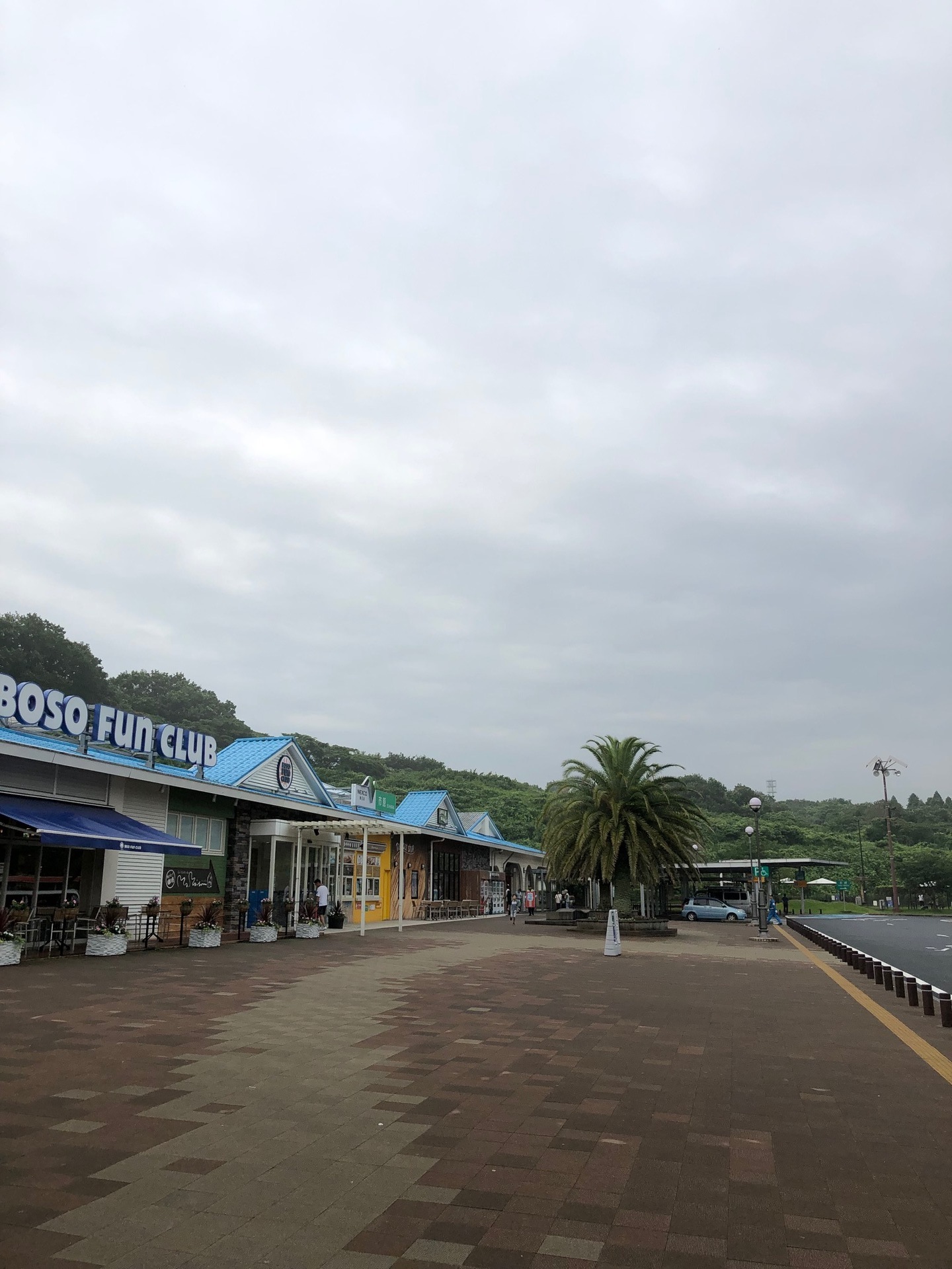 20190713 (2).jpg
