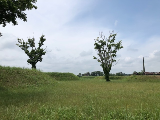 20200627 (12).jpg
