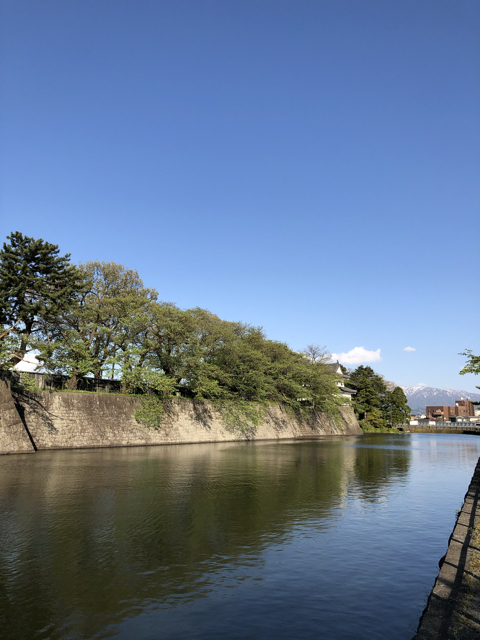 23D65919-9CF1-4F69-9A48-42AC8FD0409A.jpg