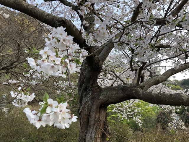 B03CF585-1C5E-41AF-845B-3B5058958A4A.jpg