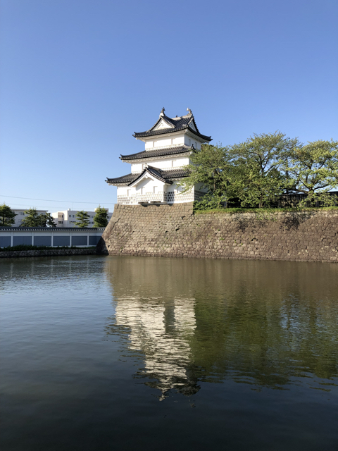 C3634EDF-FABF-45EE-8360-B800DBC599D7.jpg