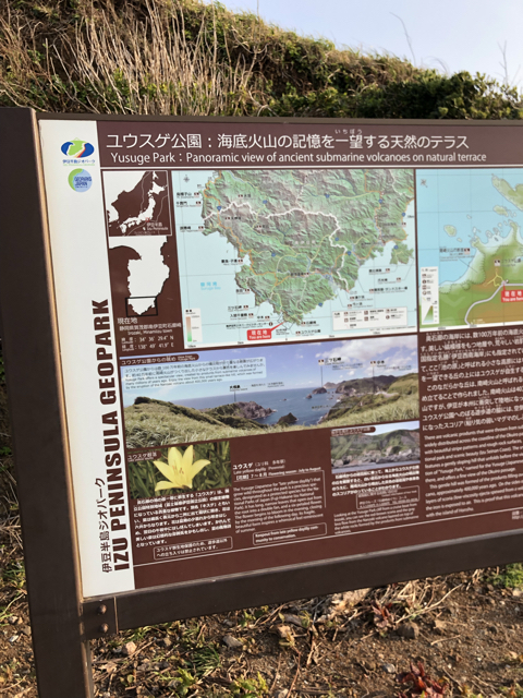 D5BA96C4-317F-488B-BA18-E8E89D2FF15E.jpg
