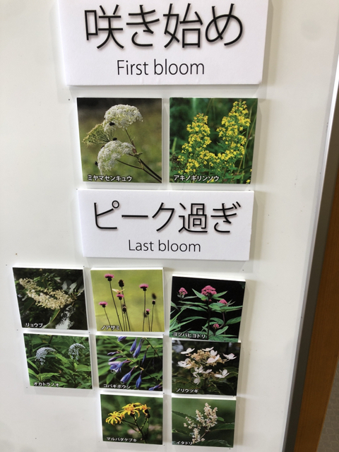E2ED41A7-B247-458F-AE00-50C719B1FB07.jpg