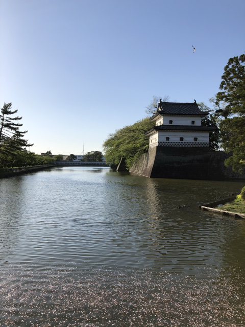 EB92896A-808C-439F-8B97-FC4A12F12D88.jpg