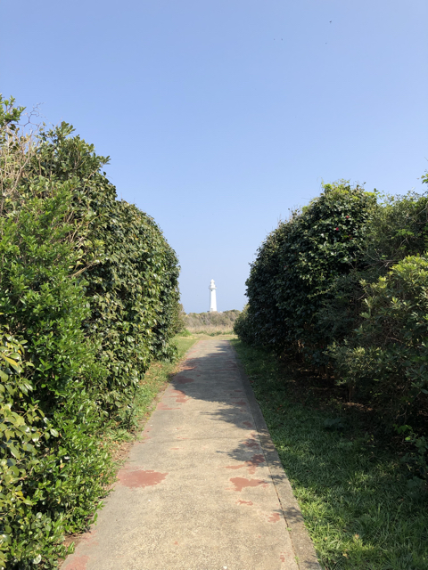 FA896697-0123-4C44-8D23-A15AB8634D99.jpg