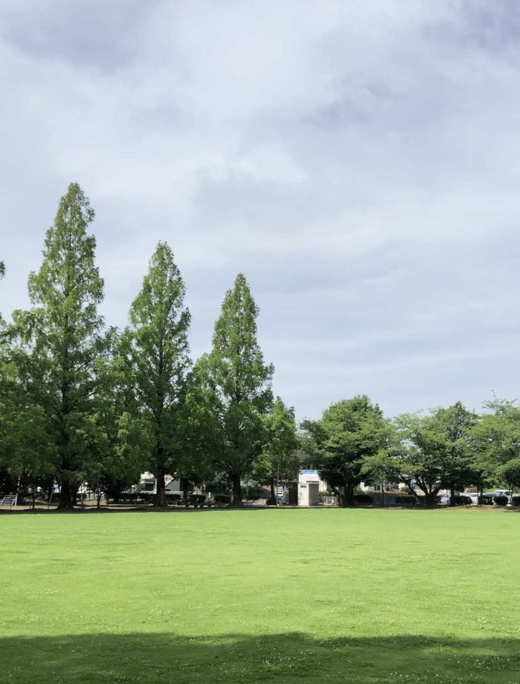 nakafuji (1).jpg